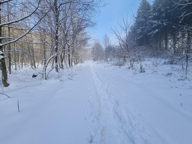 Lappland in Salzburg.