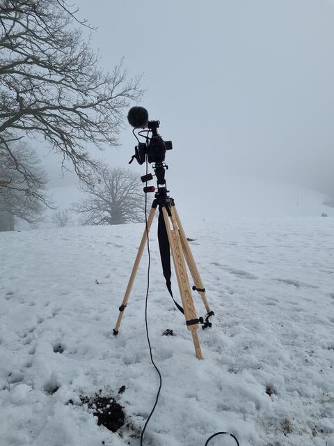 Naturgenuss Salzburg ist zu jeder Jahreszeit im Einsatz, um die besten Landschaftsszenen einzufangen.