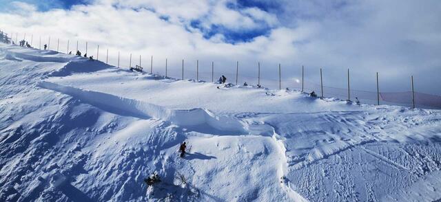 Dieses Bild lässt erahnen, mit welcher Wucht die Lawine den Hang hinuntergesaust ist. | Foto: Twitter/Michael Bauer