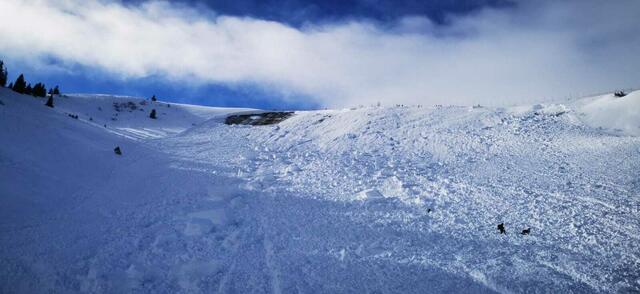 Foto: Twitter/Michael Bauer