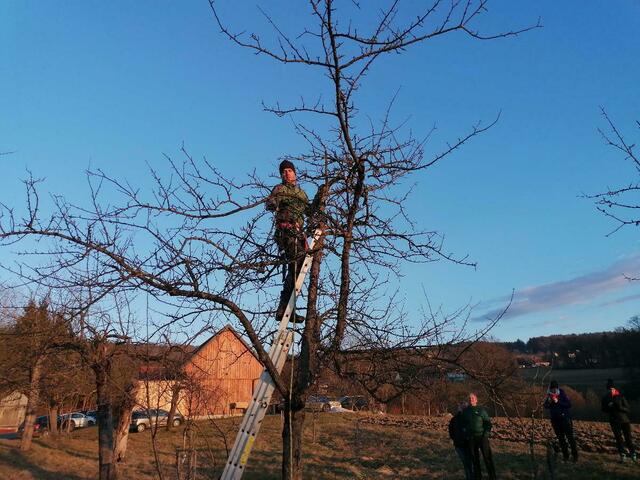 Der Kursleiter Stefan Tschiggerl in Aktion.  | Foto: Karl Lenz