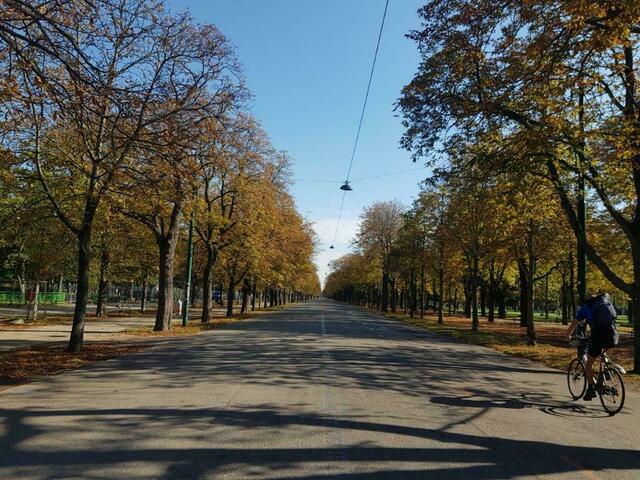 In der Prater Hauptallee gilt ein Fahrverbot für Kraftfahrzeuge. Mit ein Grund, warum der geplante Demo-Konvoi für 11. Februar untersagt wurde. | Foto: Elisabeth Anna Waldmann