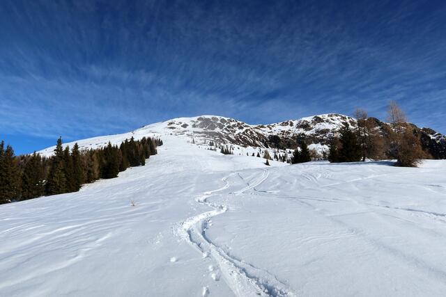 Ein Winterparadies!
Caro Guttner nahm den Tolzer und die Gaugen ins Visier. Andere waren schon vor ihr da, wie die Spuren im Schnee zeigen. | Foto: Foto: Caro Guttner