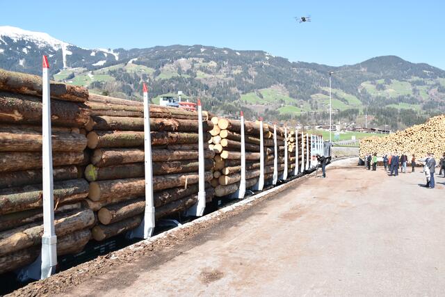 Der Holztransport auf der Schiene wird weiter ausgebaut. Auch Schnittholz und Pellets werden von der ZVB transportiert.  | Foto: Haun