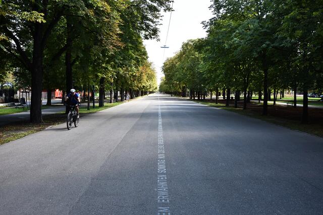  in der Prater Hauptallee gilt ein Fahrverbot für Kraftfahrzeuge. Dieses soll jetzt für einen Demo-Konvoi gegen die Coron-Impfpflicht aufgehoben werden. | Foto: Spitzauer