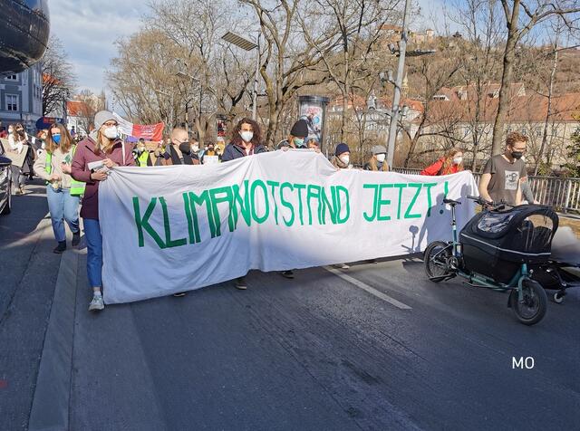 Demonstration, Fridays for Future 