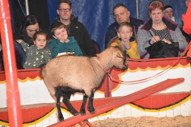 Foto: Michael Strini