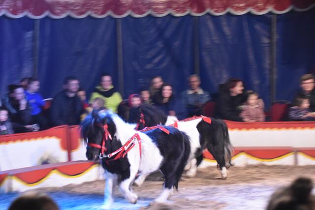 Foto: Michael Strini