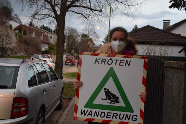 Initiativ: Barbara Draxl rettet Kröten in Maria Gugging.