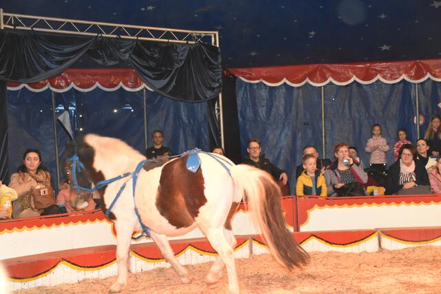 Foto: Michael Strini