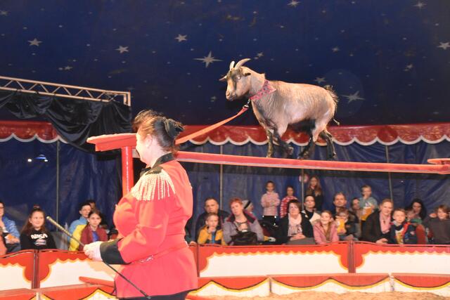 Foto: Michael Strini