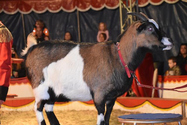 Foto: Michael Strini