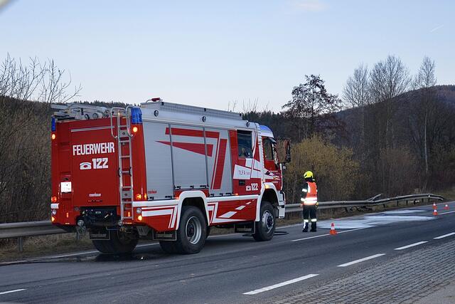 Foto: Elisabeth Peinsipp