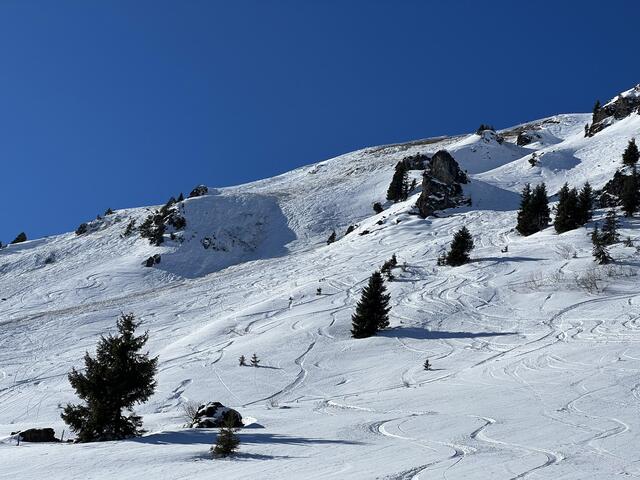 Foto: ZOOM.TIROL