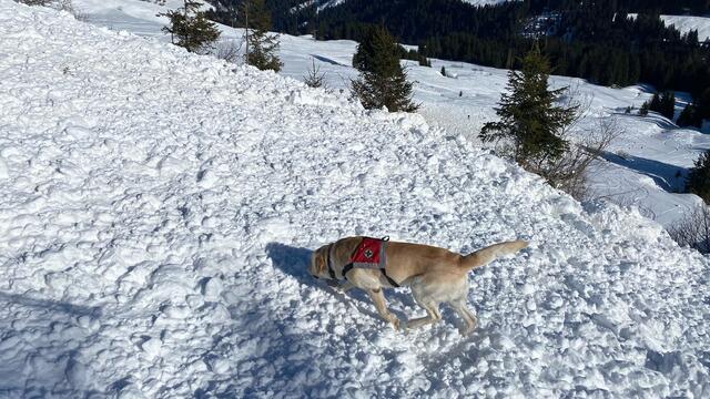 Foto: ZOOM.TIROL
