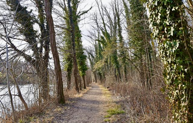 ich mag diese endlos scheinenden Wege