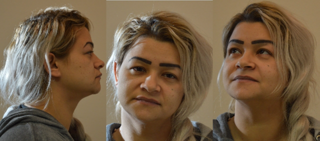 Wer von dieser Frau Hundebabys gekauft hat soll sich melden. | Foto: LPD NÖ