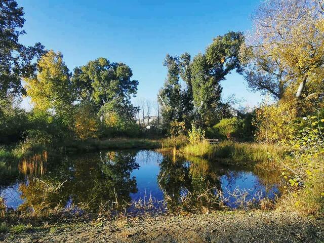 Ein erster Teil der neuen Freien Mitte wurde bereits fertiggestellt und ist über die Vorgartenstraße frei zugänglich.  | Foto: Eva Kalenczuk