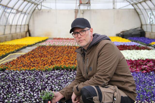 Bernhard Pöchhacker musste seine Gärtnerei absiedeln. | Foto: mjp