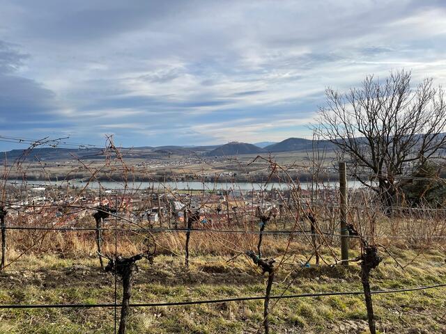 Los geht es  beim SeneCura Sozialzentrum und führt hinauf auf den Kögel. | Foto: Necker