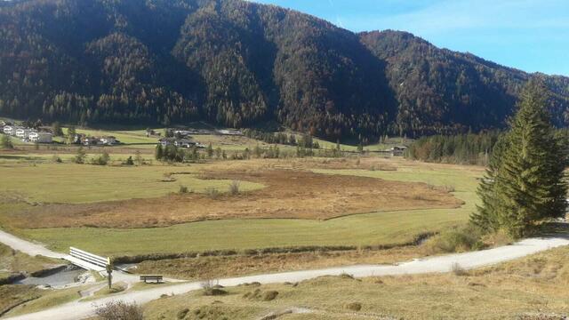 Viel Wasserfläche am Pillersee ging bereits verloren. | Foto: Seeber