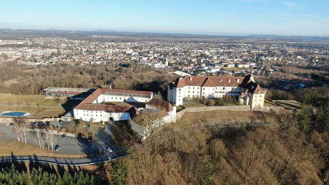 Von heute bis 16. September 2023 finden im Schloss Seggau bei Leibnitz die 13. Europäischen Kastanientage statt.  | Foto: Gernot Ambros