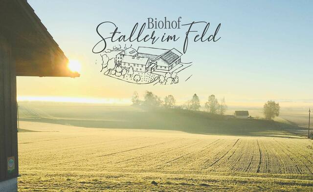 Biohof Staller im Feld | Foto: Doris und Johannes Asen