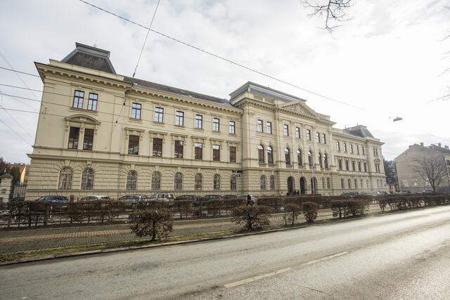 Die Grazer Schmugglerin wurde am Landesgericht Graz zu einer Strafe von 400.000 Euro verurteilt. | Foto: Prontolux