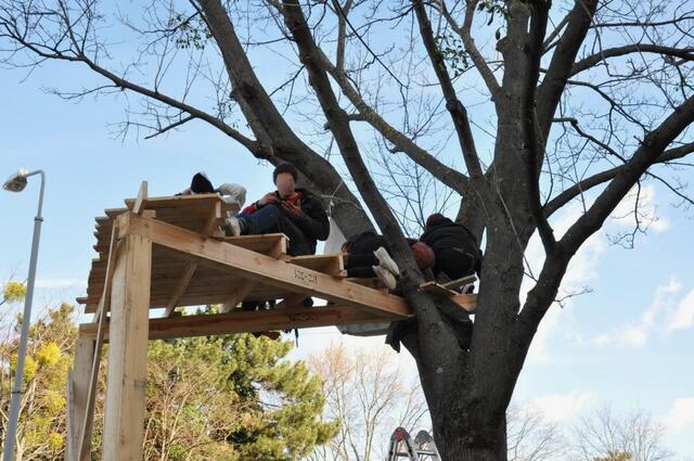 Mehrere Umweltaktivisten sind aus Protest auf das Baumhaus geklettert. | Foto: System Change Not Climate Change