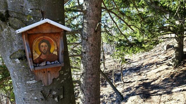 Foto: Silvia Plischek