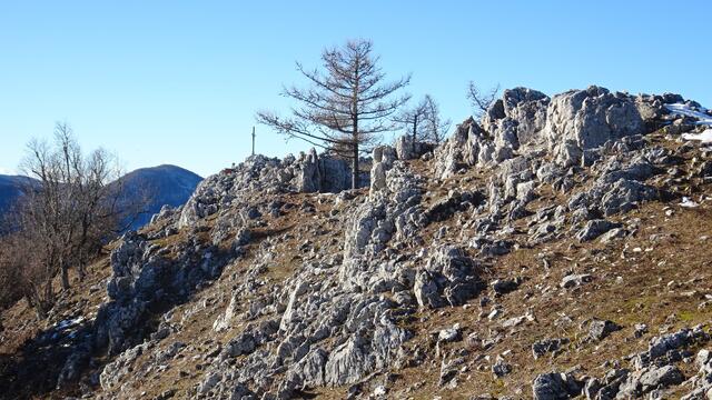 Etwas weiter unterhalb des Gipfels ... | Foto: Silvia Plischek