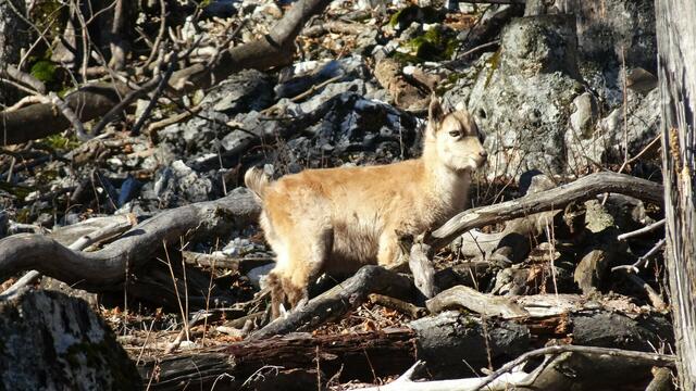 Foto: Silvia Plischek