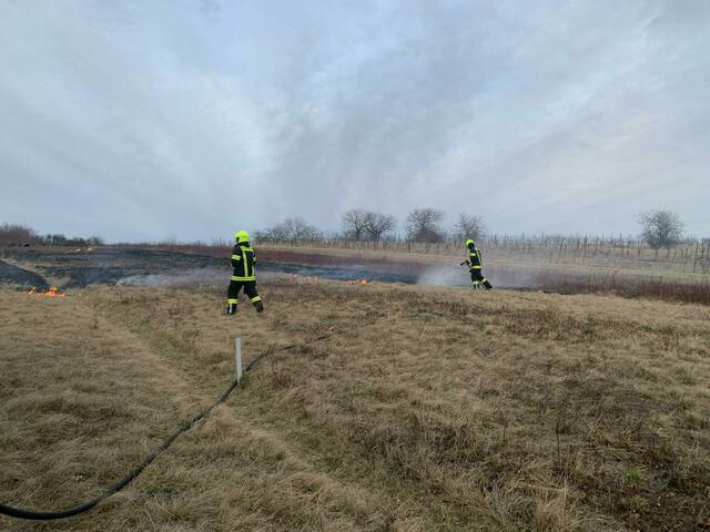 Der Flurbrand wurde von zwei Seiten aus bekämpft. | Foto: Feuerwehr Mattersburg