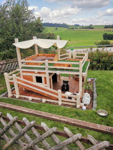 Foto: Julia Höglinger