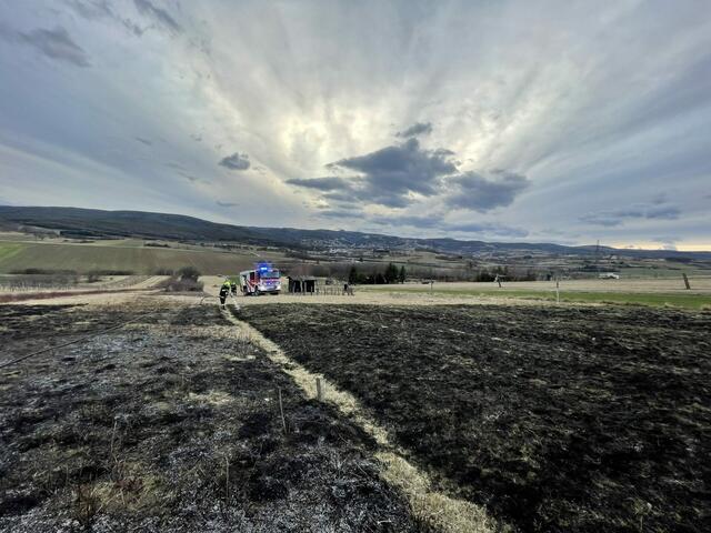 Der Flurbrand brach auf einem Wiesengrundstück außerhalb des Ortsgebietes von Forchtenau aus. | Foto: Feuerwehr Mattersburg