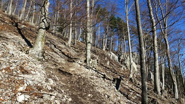 Ein teilweise mit Steinmännern markierter, sehr steiler Pfad führt nun in weiten Serpentinen bis zum Gipfel. | Foto: Silvia Plischek