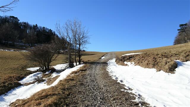 Am Wiesensattel Himmelsreith. ... Hier biegen wir rechts zum Jagdhochstand ab. ... | Foto: Silvia Plischek