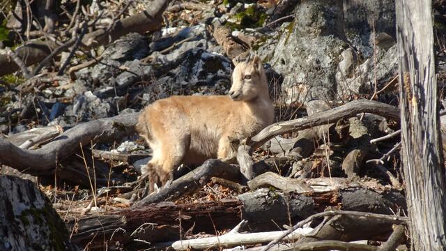 Foto: Silvia Plischek