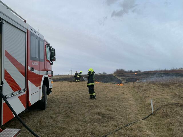 Die Feuerwehr Mattersburg war mit drei Fahrzeugen im Einsatz. | Foto: Feuerwehr Mattersburg