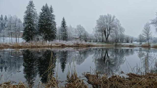 Der Wochenstart wird unfreundlich | Foto: Franz Reiter