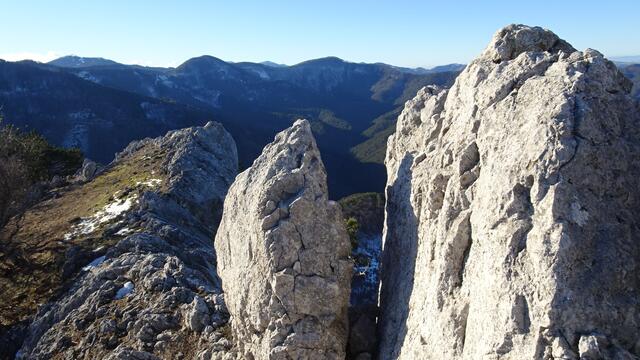 Im Gipfelbereich. ... | Foto: Silvia Plischek