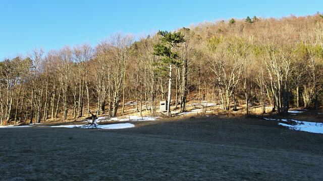 Beim Hochstand geht es in den Wald und zur letzten Aufstiegsetappe zum Gipfel des Gaissteins. ... | Foto: Silvia Plischek