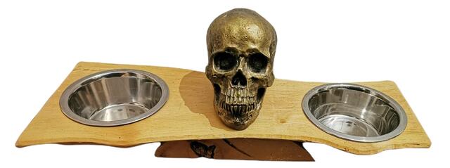 Foto: Julia Höglinger