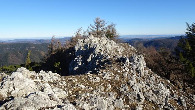 ... auf der gegenüberliegenden Seite in östlicher Richtung bis ins Wiener Becken und bis hin zum Leithagebirge.
 | Foto: Silvia Plischek