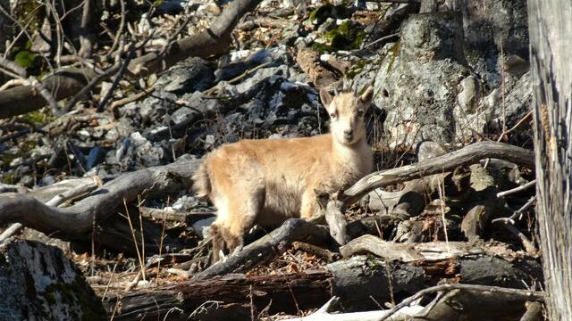 Foto: Silvia Plischek