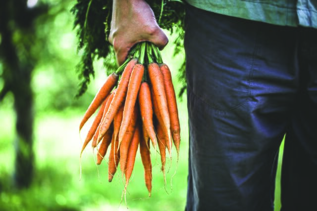 Foto: depositphotos/mythja