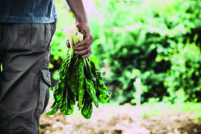 "Brot &amp; Ruam" ist die erste FoodCoop im Bezirk Braunau.  | Foto: depositphotos/mythja