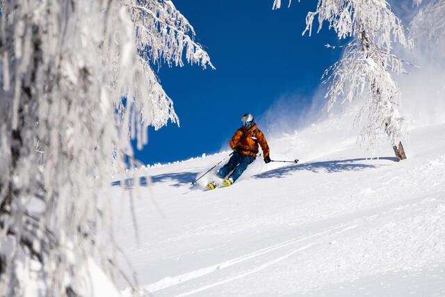Vorher sollte man sich informieren, ob der Wald geschützt ist oder befahren werden darf. | Foto: Cian Baumgartner