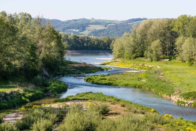 Umgehungsgewässer beim Kraftwerk Ottensheim | Foto: Verbund