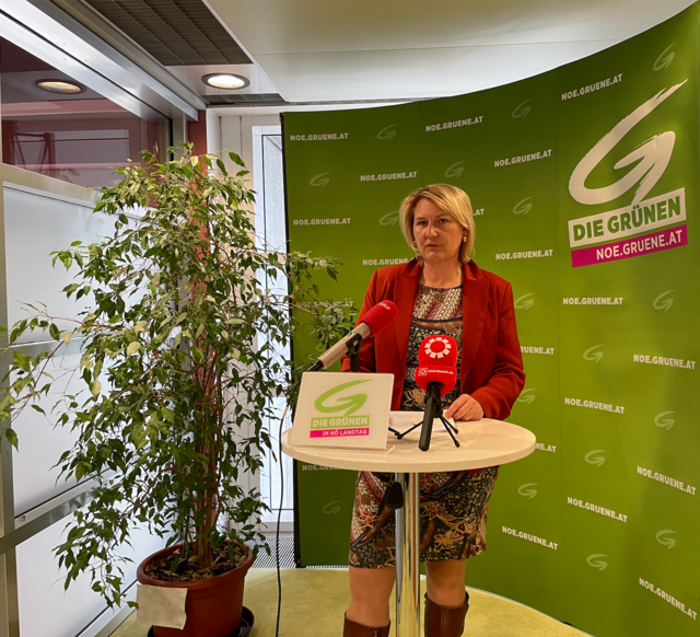 Niederösterreichs GRÜNEN-Chefin Helga Krismer-Huber: "Förderungen für "Gas verbannen" und Novelle der Bauordnung" | Foto: Zeiler